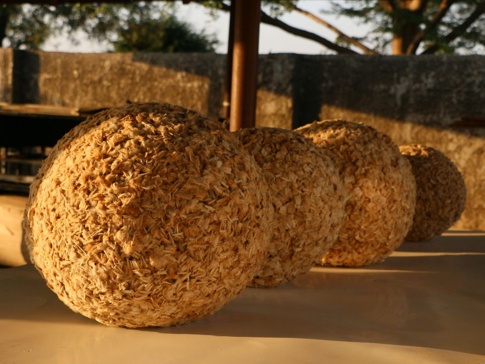 Anya 'ri Umunne, 2019 .JPG