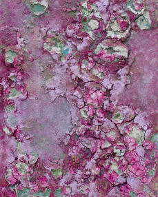 Winter Petals