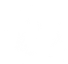 logo white transparent.png