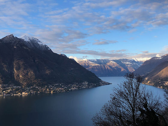 View on terrace with Lake Como at Villa le Ortensie