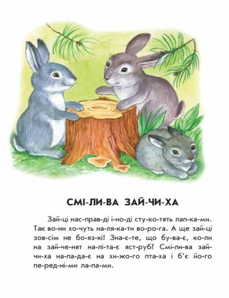 Прев'ю: Лісовий концерт