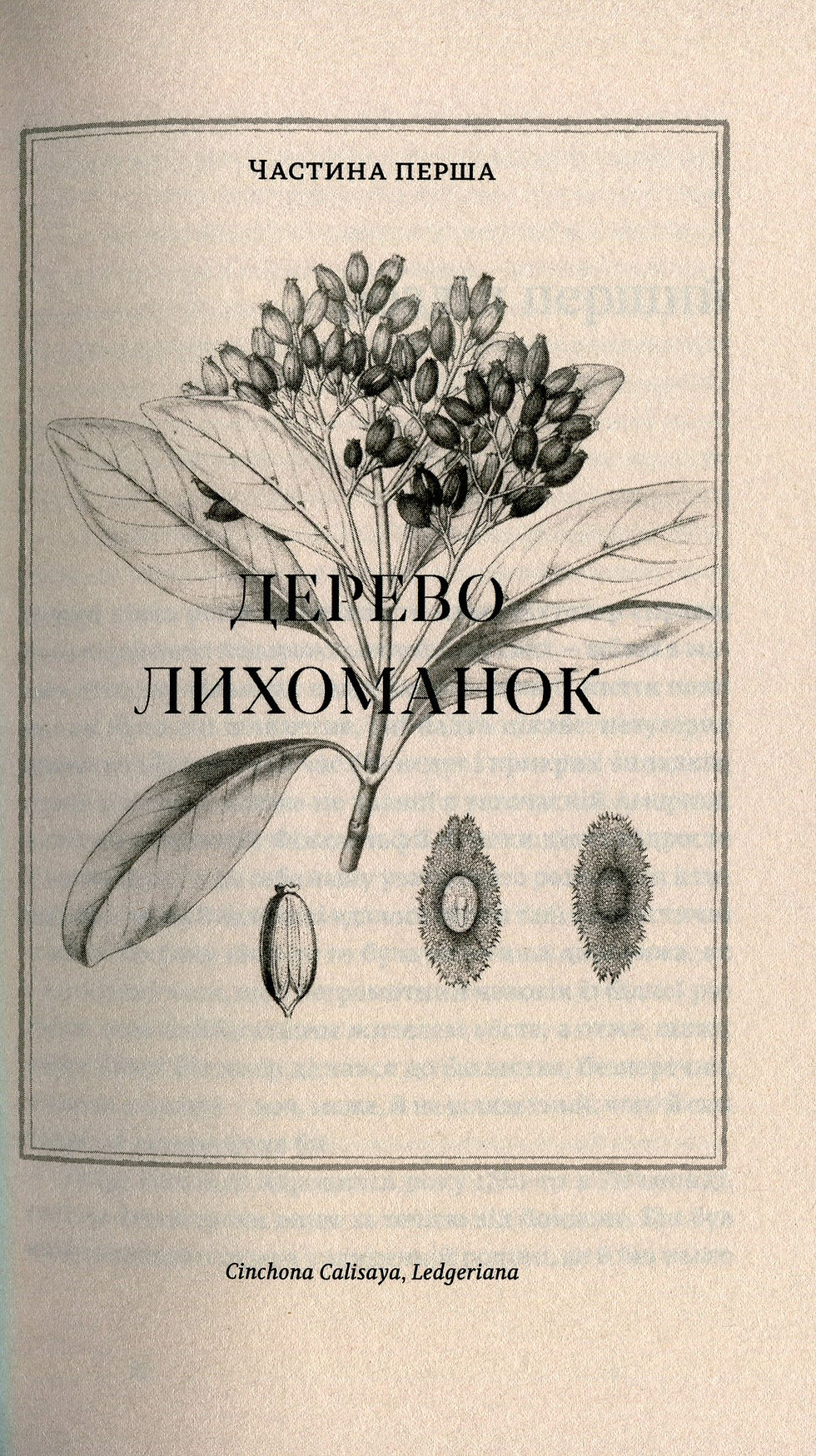 Прев'ю: Природа всіх речей