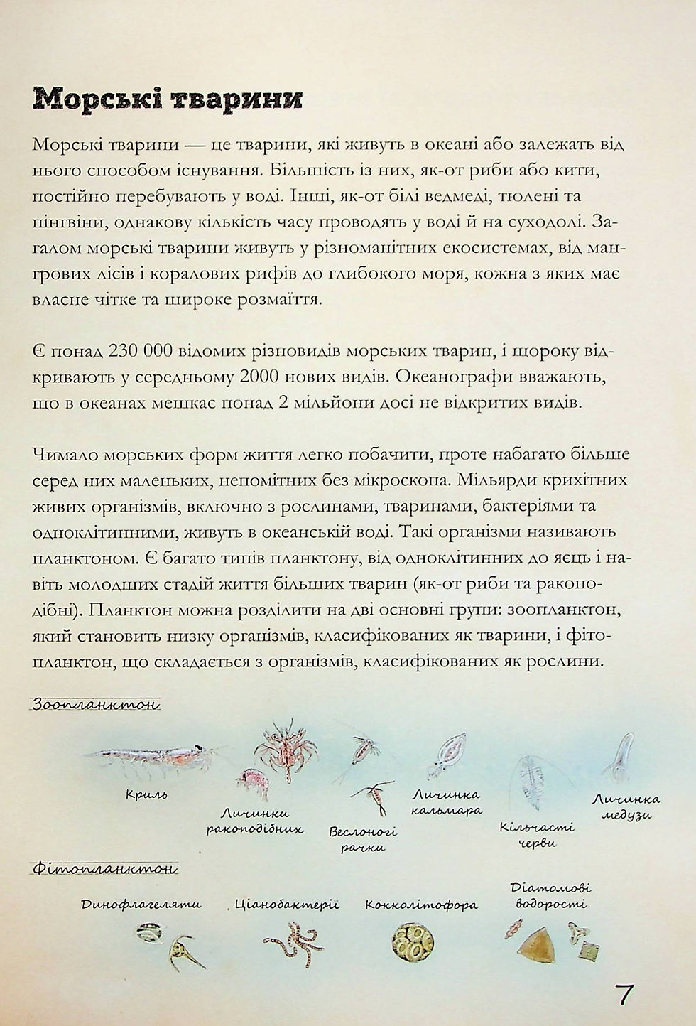 Прев'ю: Морські тварини світу