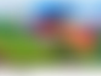 The Benefits of Creative Writing for Children