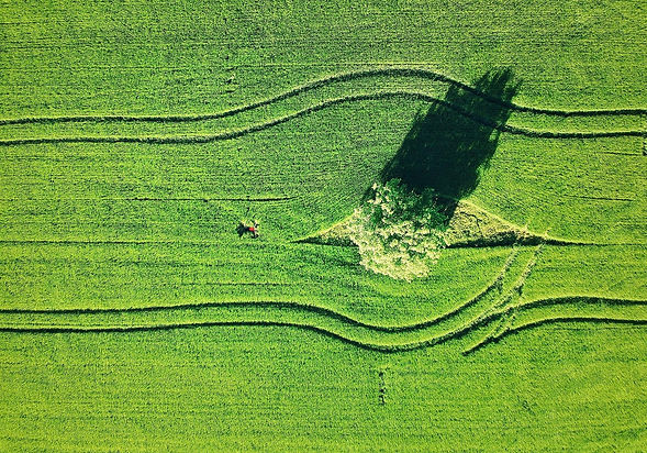 foto_VE (4).jpg