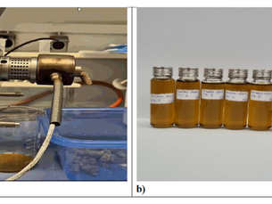 Research Progress in WP2 and WP3: Unlocking Value from Tomato Residues