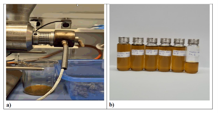 Research Progress in WP2 and WP3: Unlocking Value from Tomato Residues
