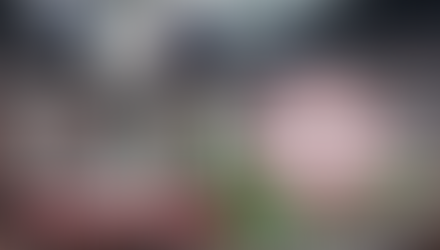 Fox Calls the Super Bowl, Meet Joe Buck and Troy Aikman