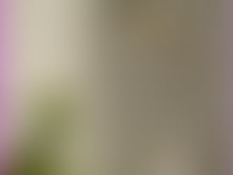 Return Policy for Jireh's Glow Haven Products