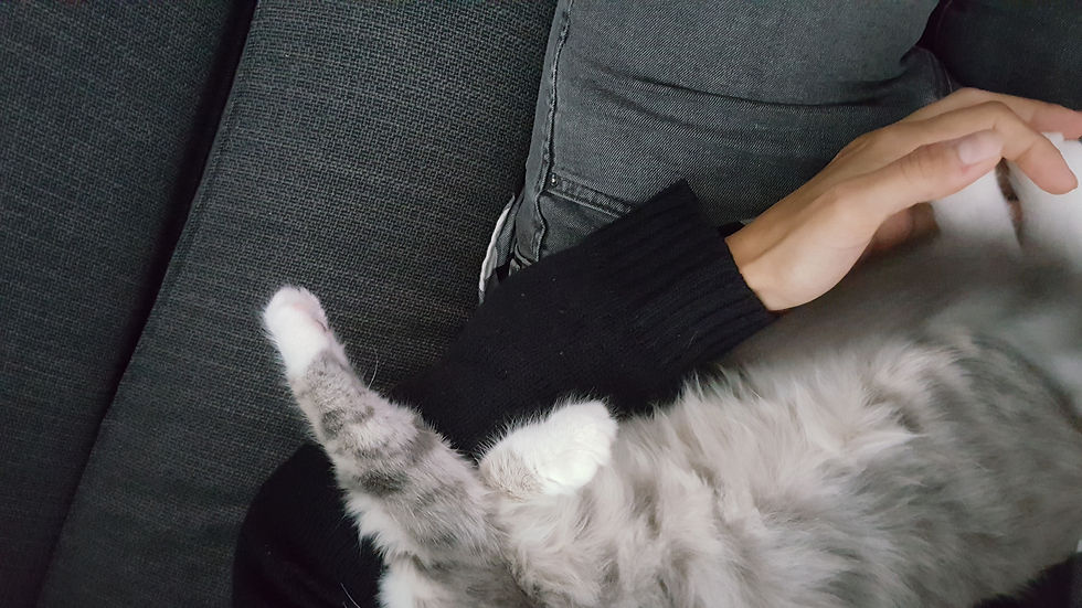 20181015_173148.jpg