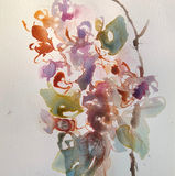 Screenshot 2022-01-19 at 13.55.56.jpg