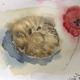 Visceral observation, Joseph Beuys