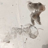 Visceral observation, Joseph Beuys