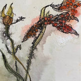 Screenshot 2022-01-19 at 18.19.10.jpg