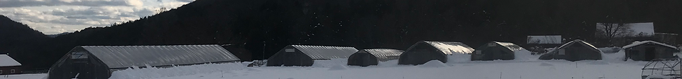 Winter greenhouses.HEIC