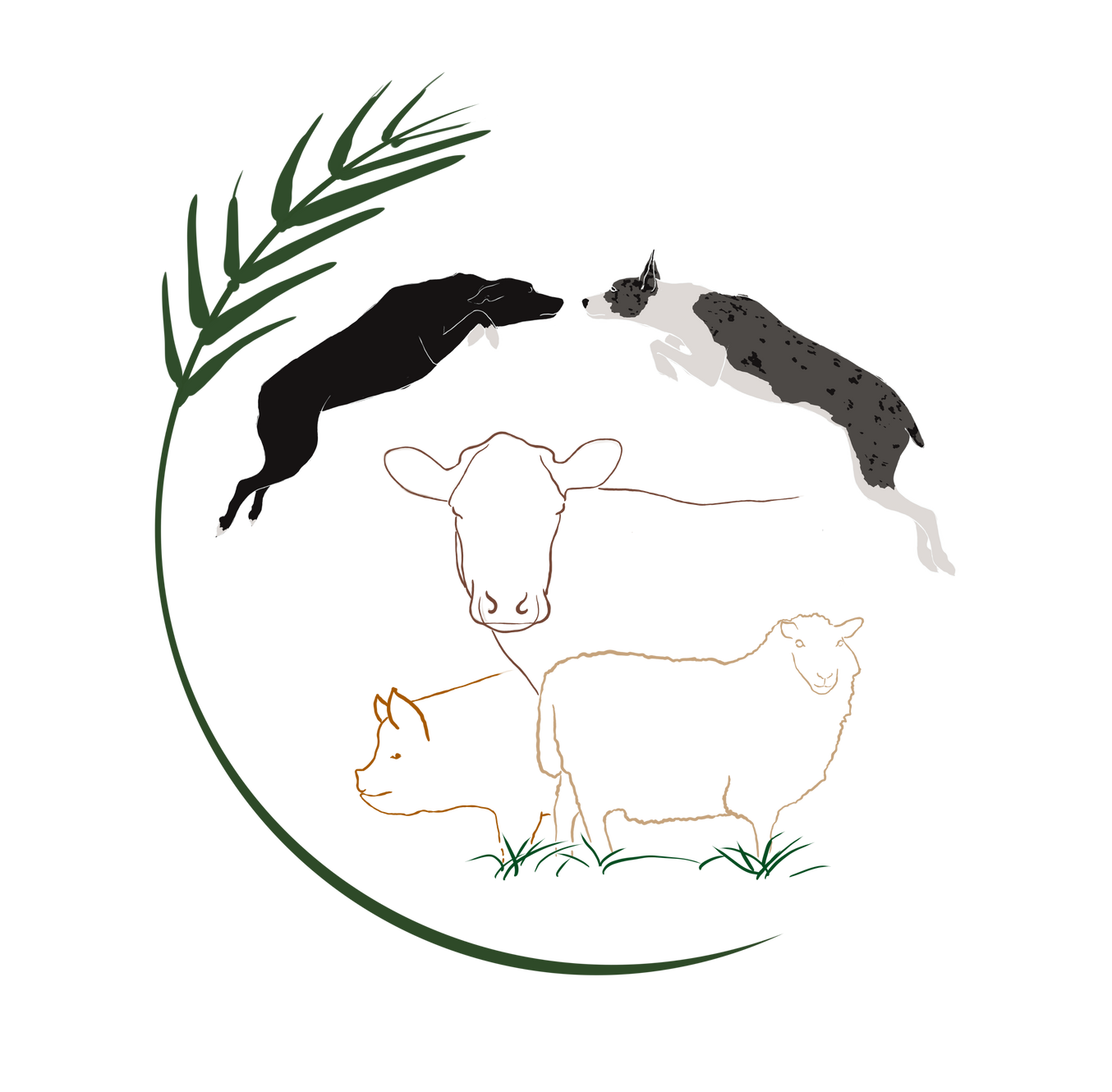 Flying Dog Farm Certified Organic Meat Tunbridge, VT, USA