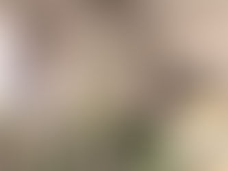 corner of main lounge showcasing accent colour