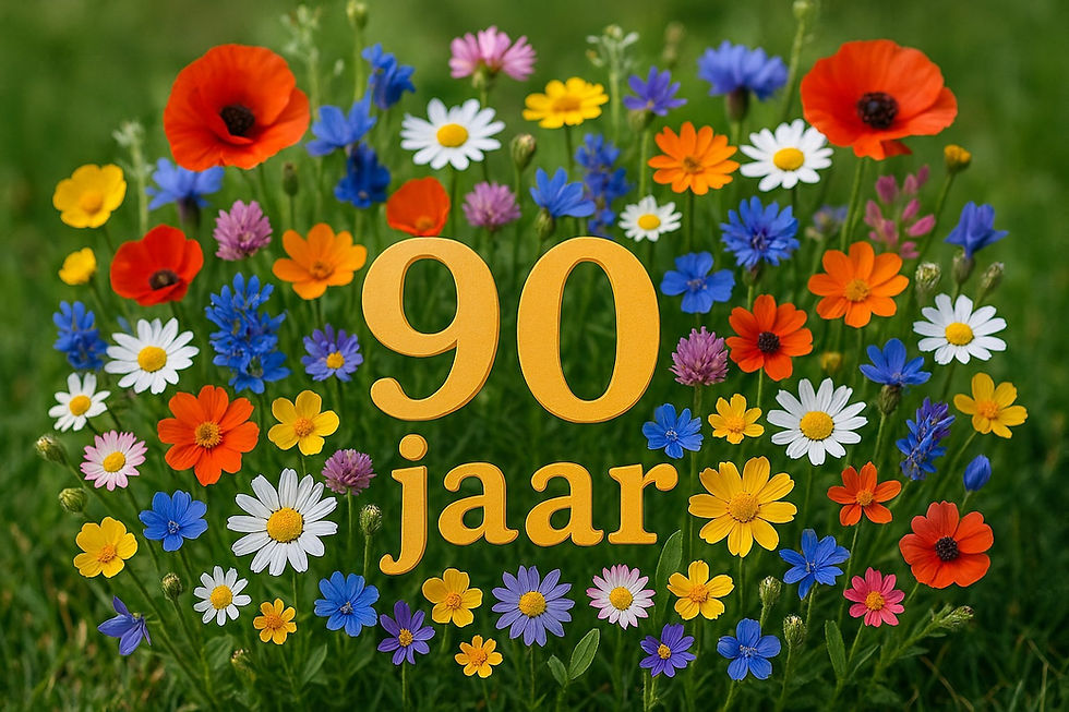 Als je 90 bent