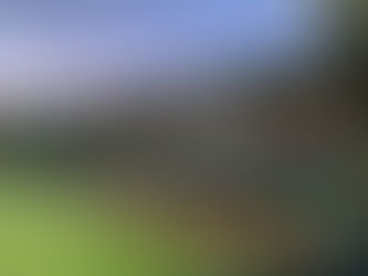 Mijn mooiste FC Groningen cadeau
