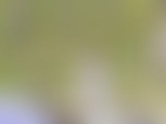 Zijn hand in de mijne