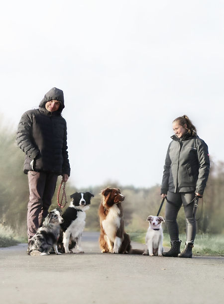 Australian Shepherd Rudel
