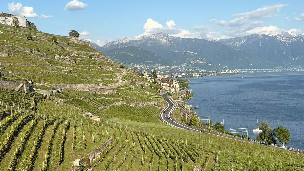 Lausanne in 2 Days - Itinerary & Things to Do