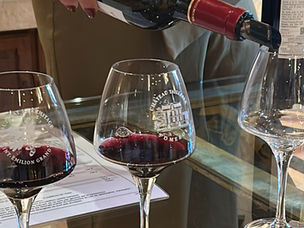 Bordeaux in 2 Days - Itinerary & Things to Do