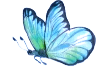 De la Chrysalide_edited_edited_edited.pn