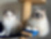318328144_556158223187618_213061063516770555_n_edited_edited.jpg