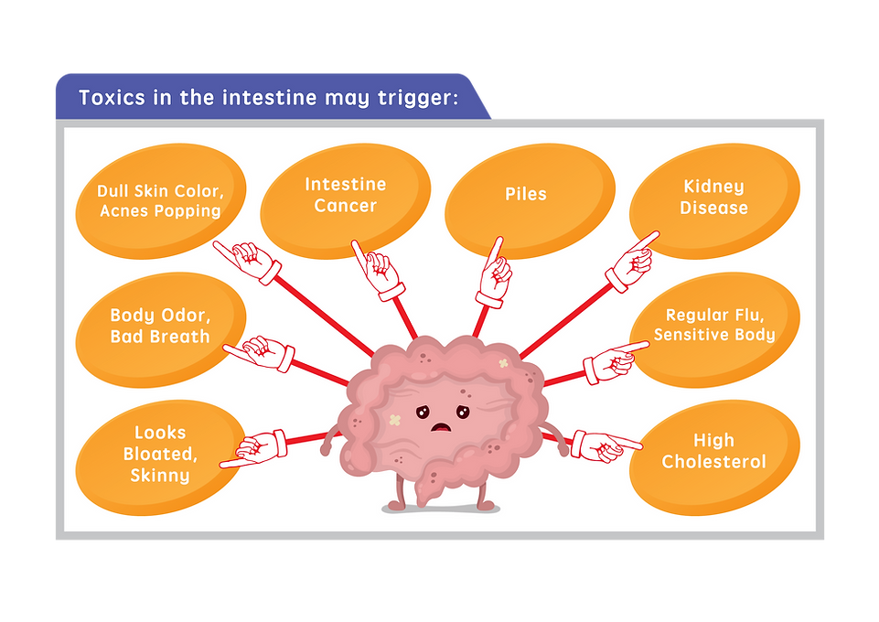 Toxics-in-the-intestine-may-trigger.png