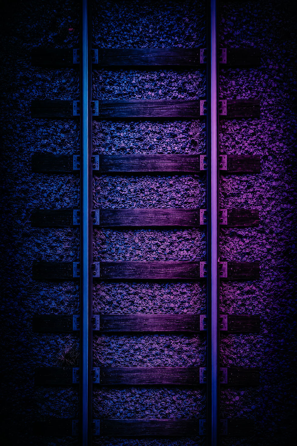 Tracks.jpg