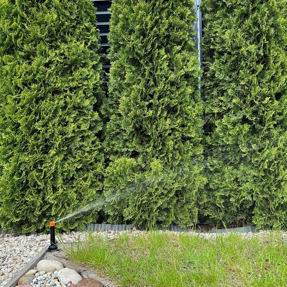 Automātiskā laistīšanas sistēma