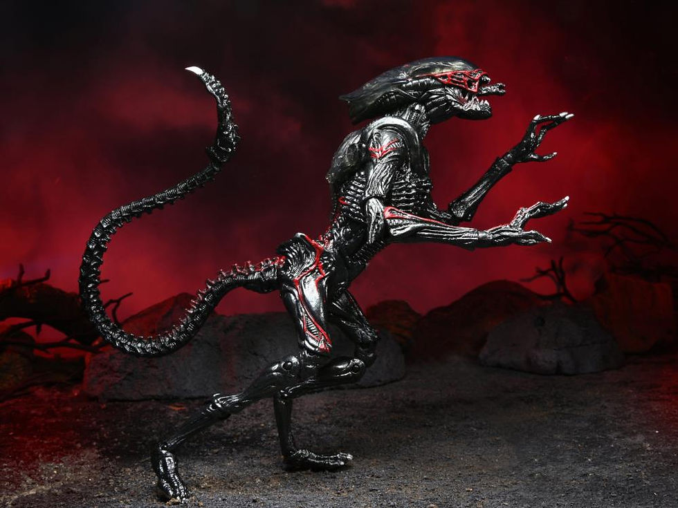 Thumbnail: [Pre-order] Neca Aliens Kenner Tribute Night Cougar Alien