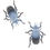 Thumbnail: Blue Death Feigning Beetles (Asbolus verrucosus)