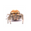 Thumbnail: Regal Jumping Spider (Phidippus regius)