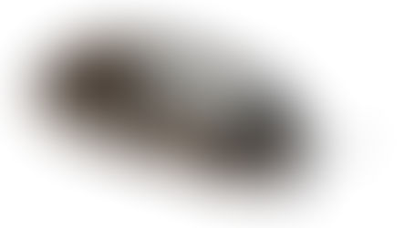 Woodlice & Pill Bug Care