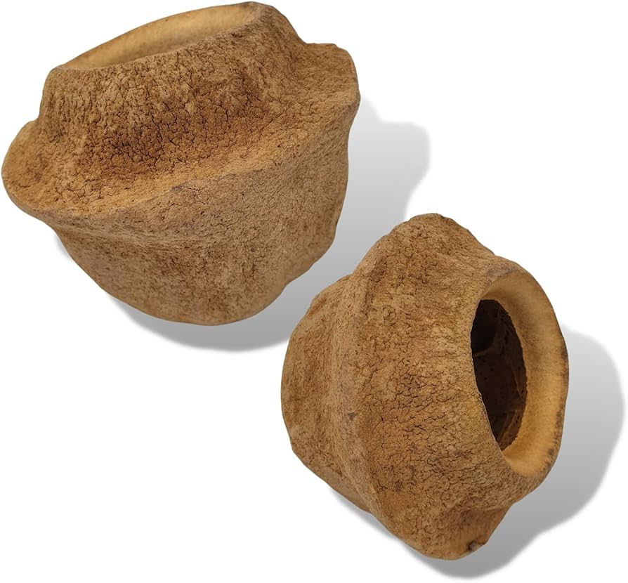 Thumbnail: Sapucainha Pods (2 pack)