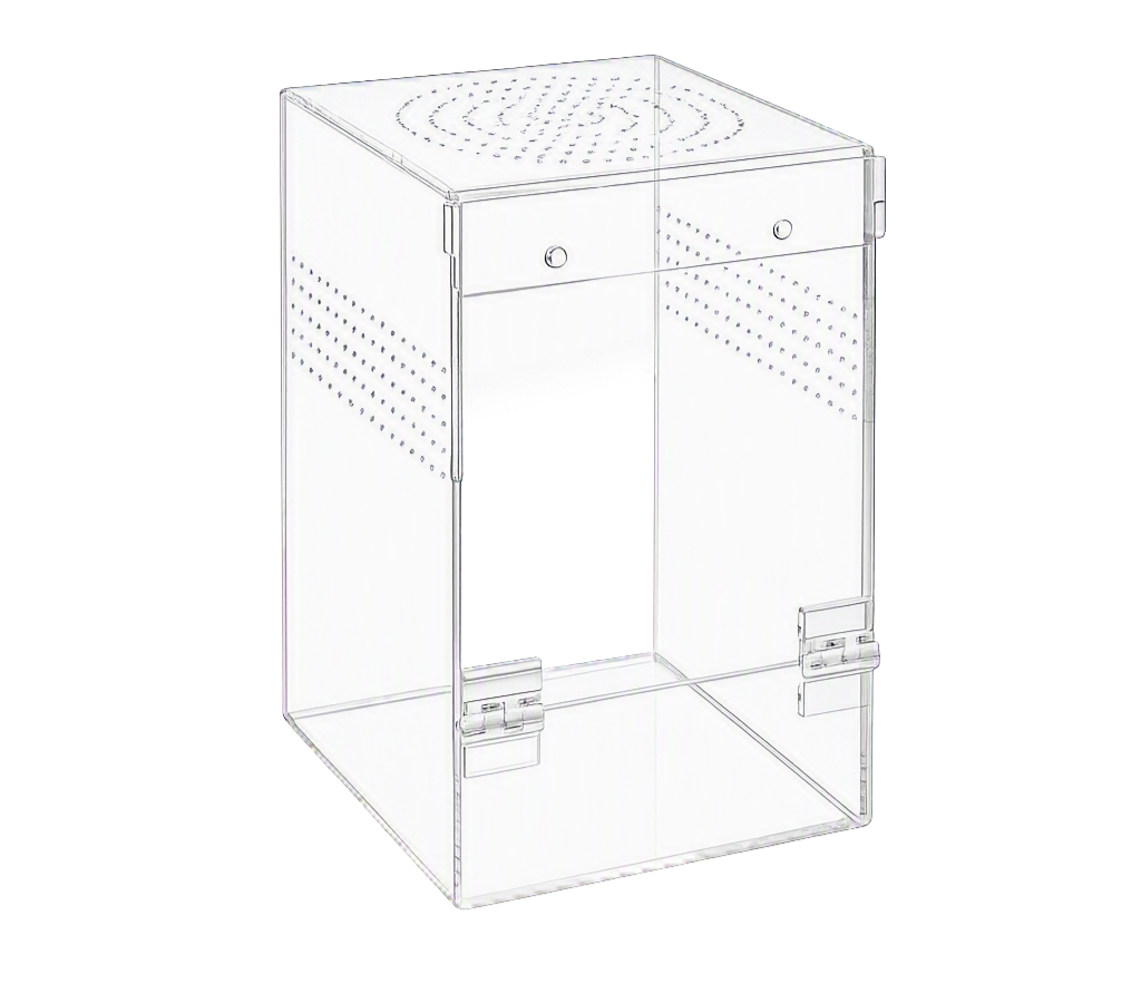 Jumping Spider Enclosure