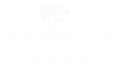 Logo Novo CT branco fundo transparente.png