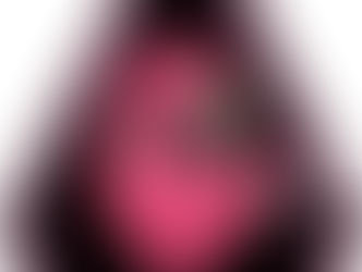 ST MARTIN DE CRAU salle et autres