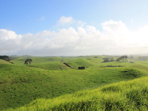 Quelques petites photos !