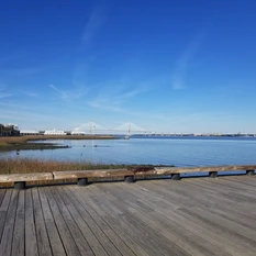 Ravenel Bridge on the Cooper River