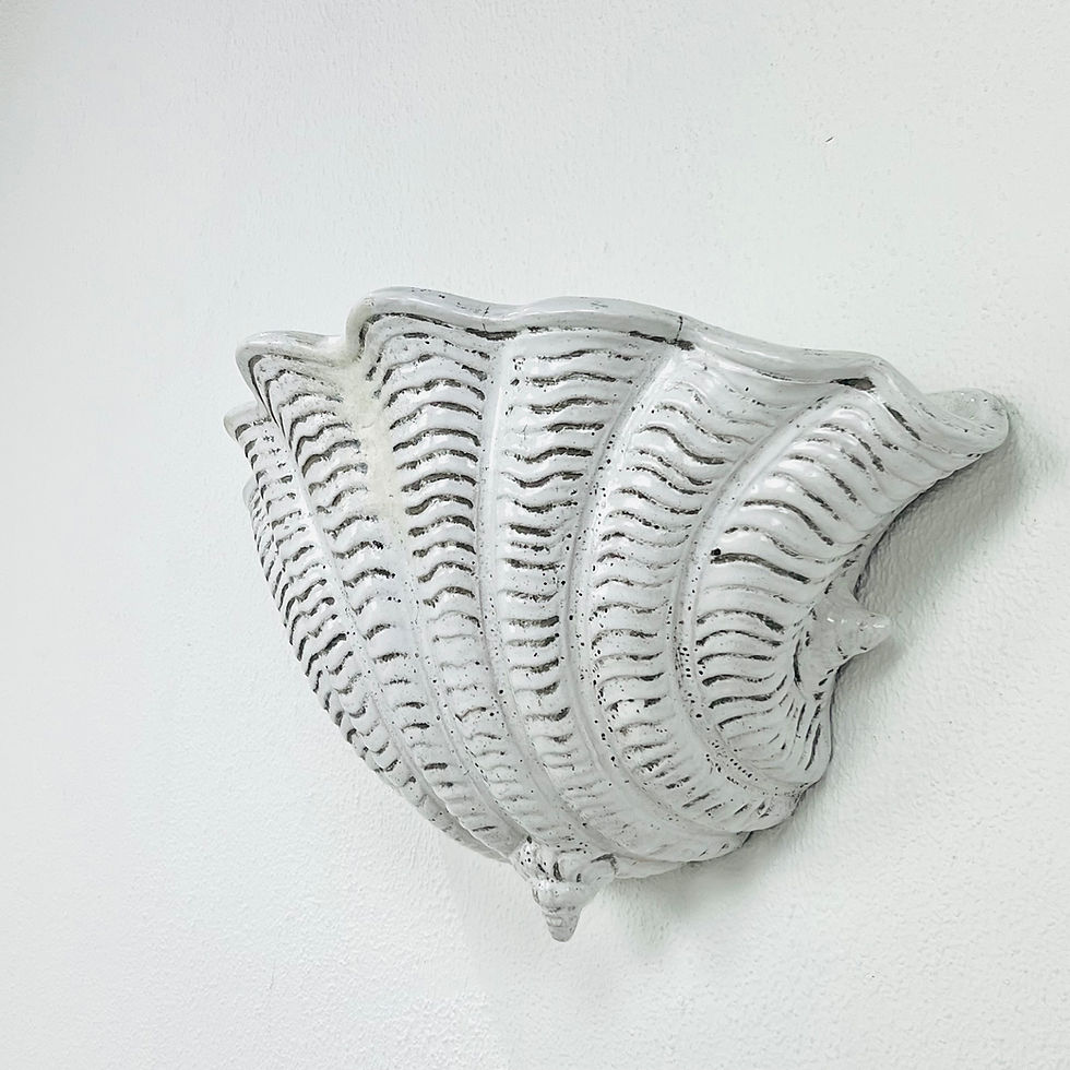 Thumbnail: #1486 Italian Terracotta Shell Wall Planter