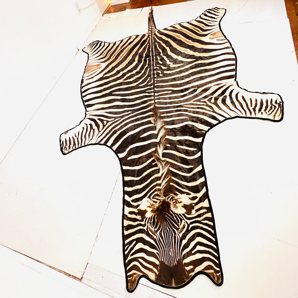 Thumbnail: #1915 Full Life Size Natural Zebra Hide Rug