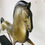 Thumbnail: #5284 Bronze MCM Horse Statue