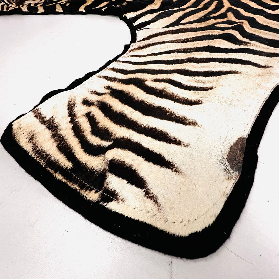 Thumbnail: #1915 Full Life Size Natural Zebra Hide Rug
