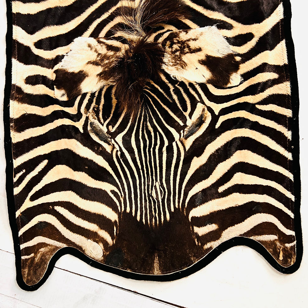 Thumbnail: #1915 Full Life Size Natural Zebra Hide Rug