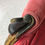 Thumbnail: #4108 Victorian Pink Velvet Settee