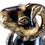 Thumbnail: #4141 Carved Egyptian Two Headed Ram