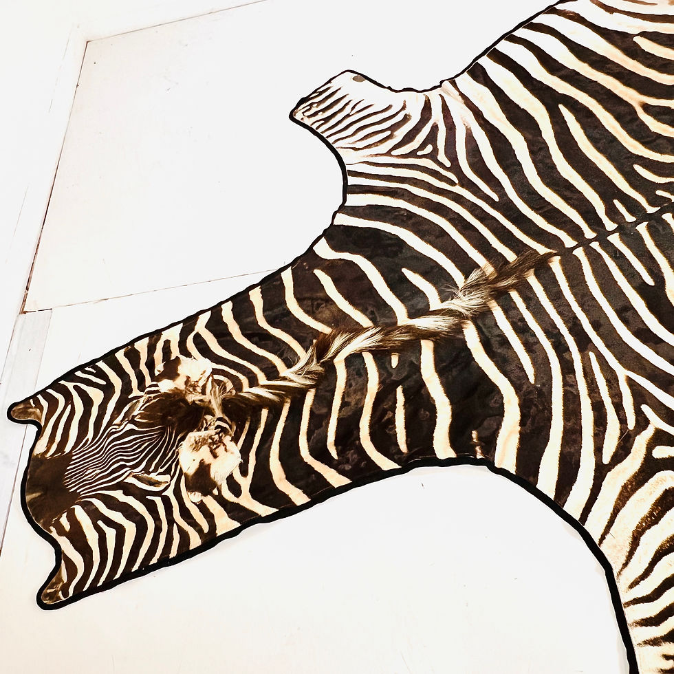 Thumbnail: #1915 Full Life Size Natural Zebra Hide Rug